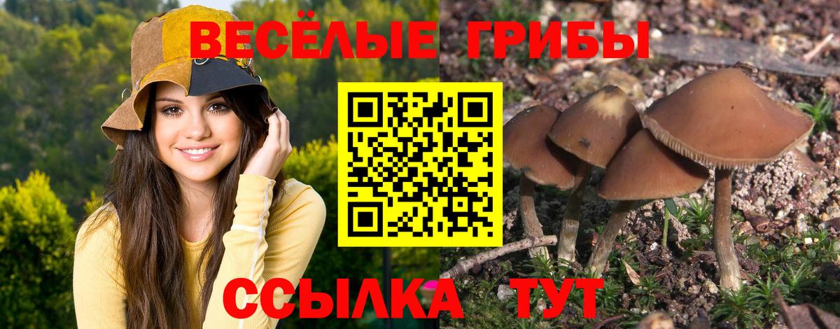 Псилоцибиновые грибы ЛСД Октябрьский